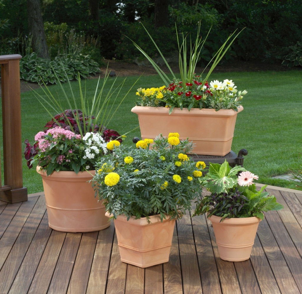 кашпо цветы24.jpg