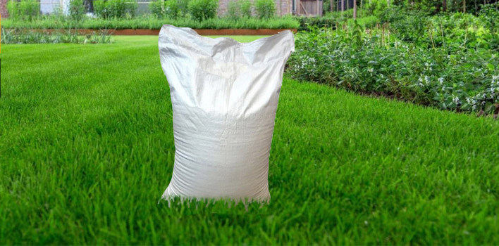 газон тень 1.jpg