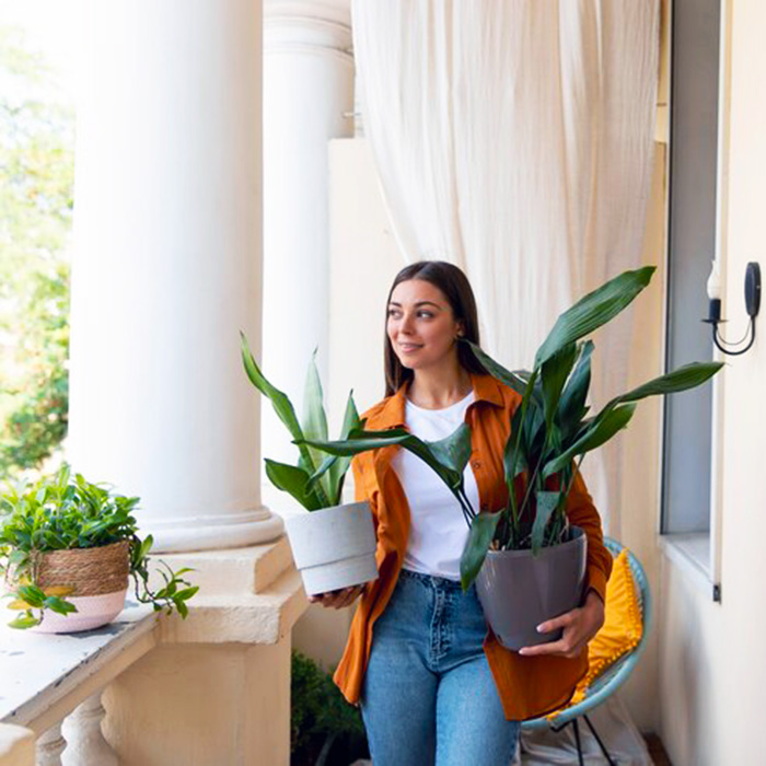 растения с балкона в помещение 700Х700.jpg