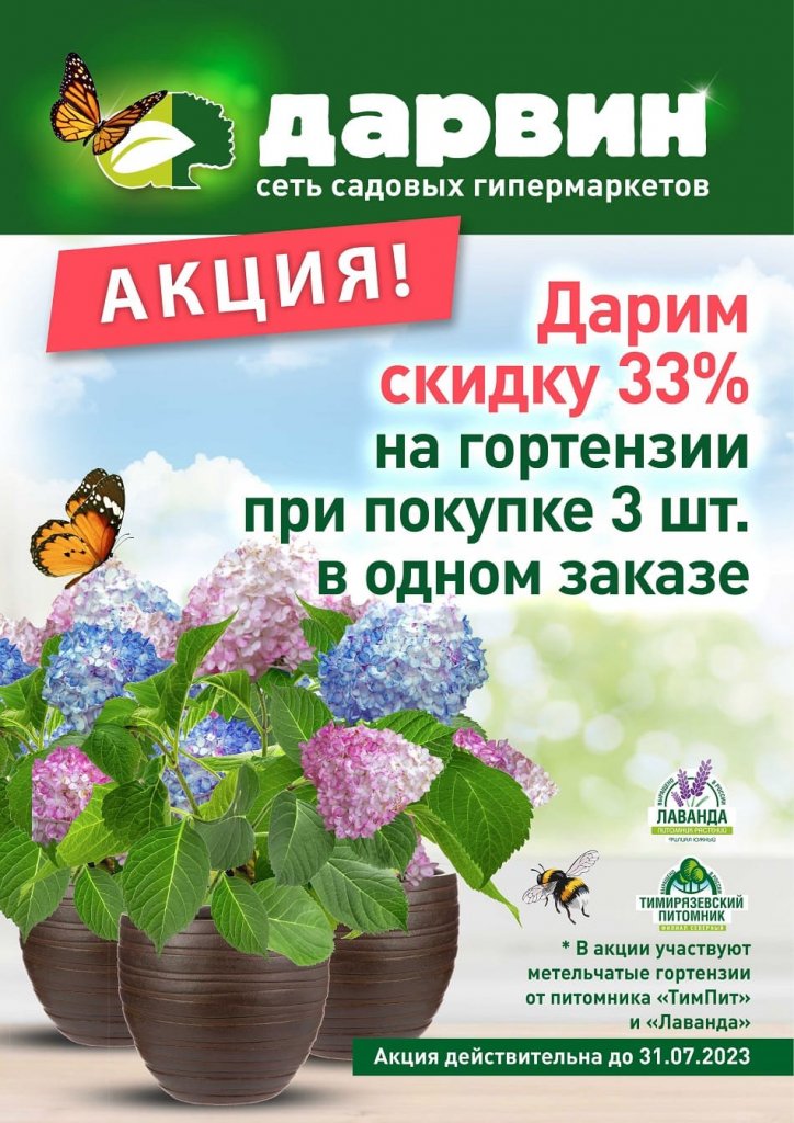 листовка гортензия 950 листовка гортензия 950.jpg