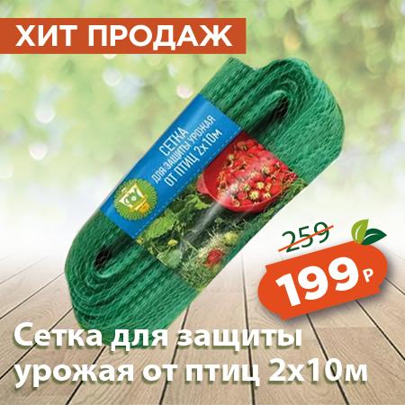 сетка защиты.jpg сетка защиты.jpg