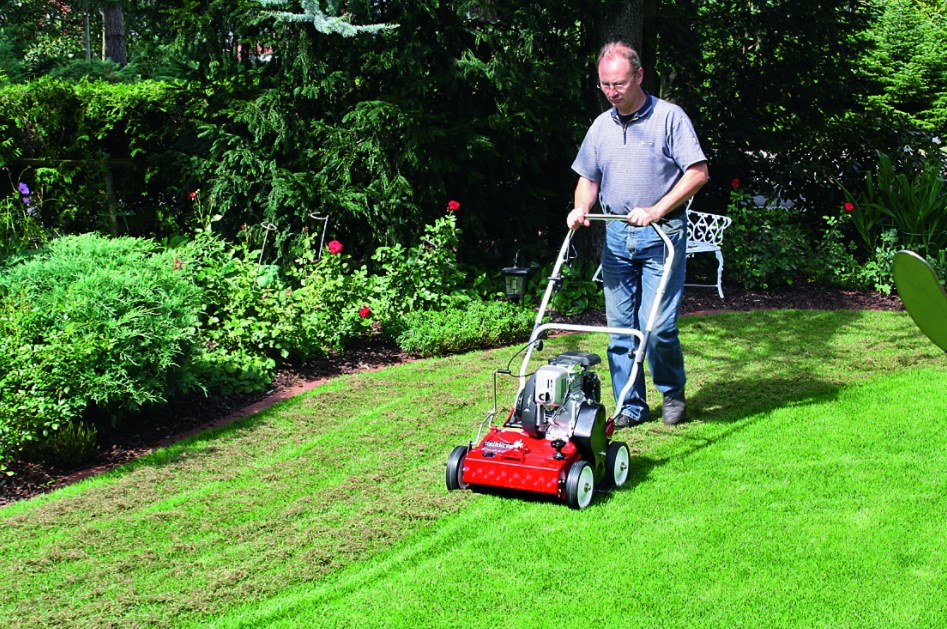 газон тень скариф..jpg