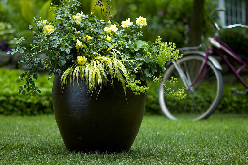 кашпо контейнер.jpg