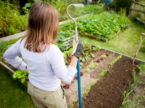 девушка с тяпкой возле грядок