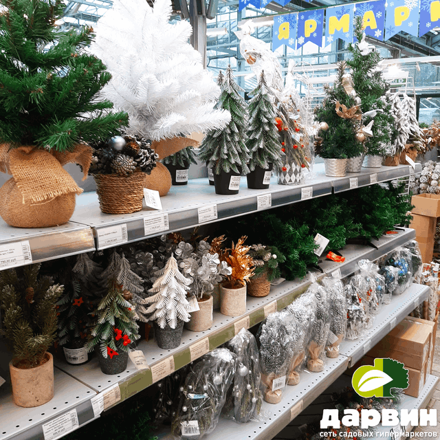 искусственные мини елочки в Дарвин