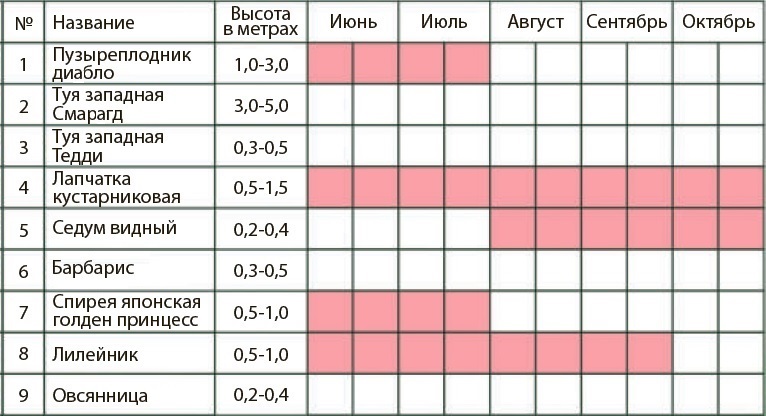 Период непрерывного цветения_2.jpg