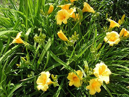 хит продаж 11.jpg