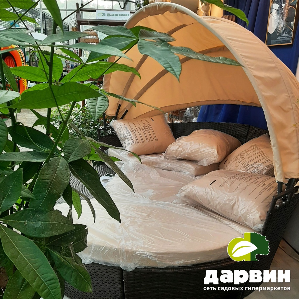 садовый-шезлонг-ракушка