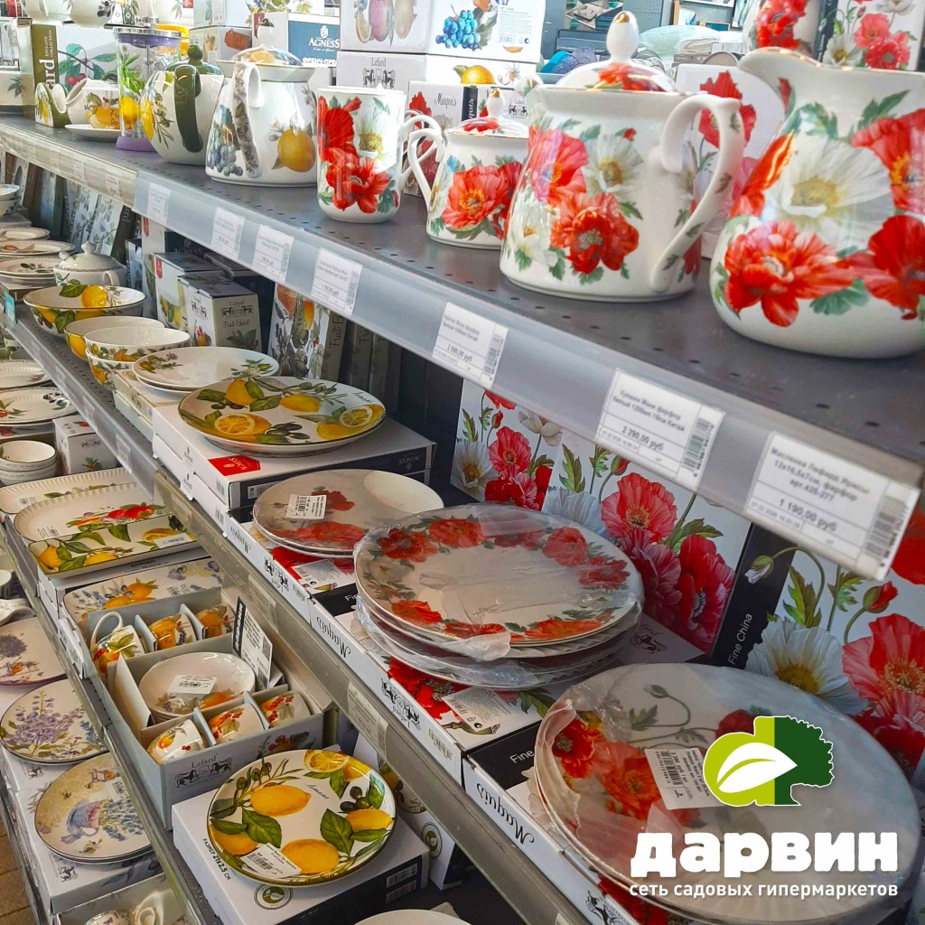 Посуда для сервировки стола