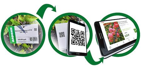 QR-код в Дарвин QR-код в Дарвин