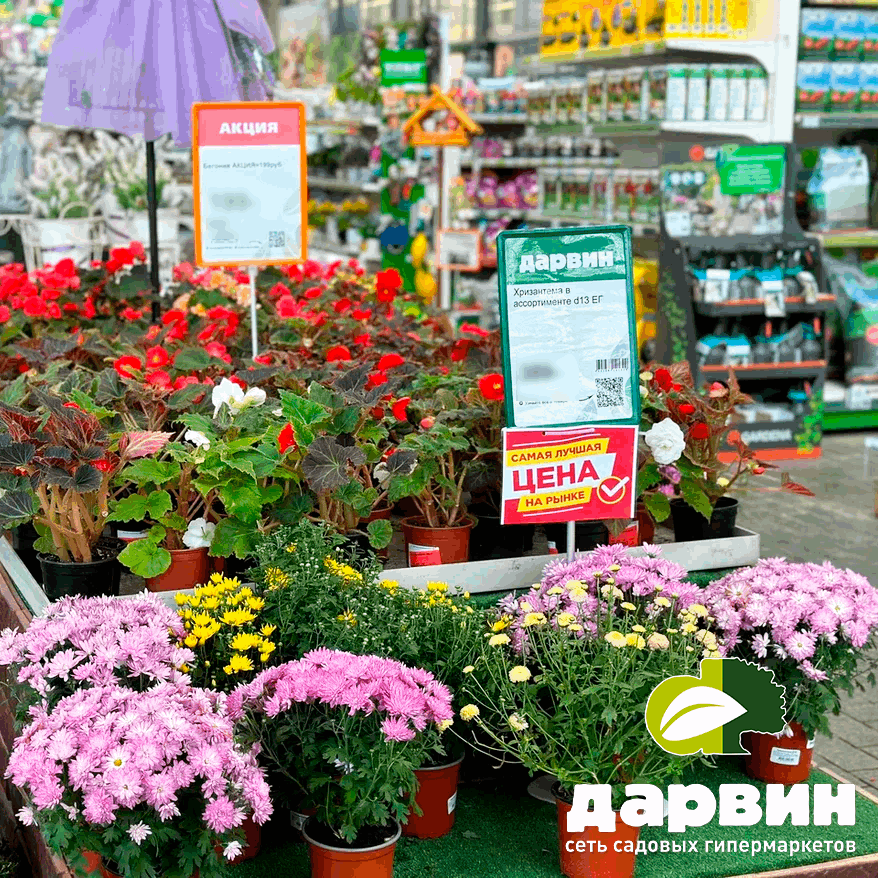 для подарочных сертификатов