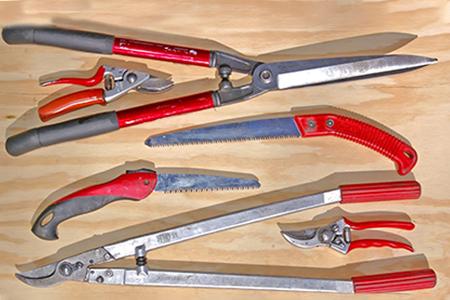 Инструменты для обрезки плодовых Дарвин.jpg Инструменты для обрезки плодовых Дарвин.jpg