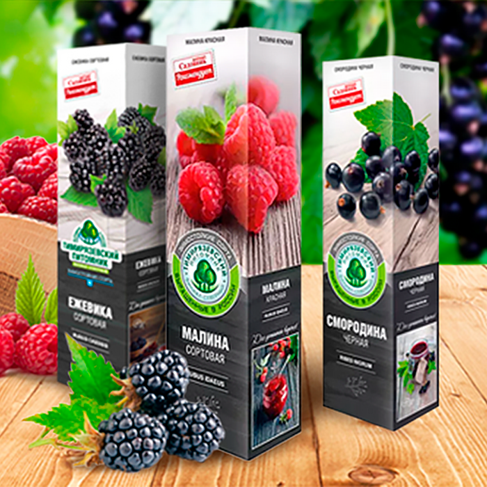 ягодные саженцы в коробках