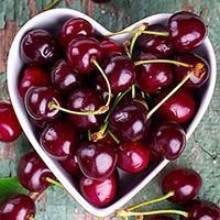 Плодовые деревья-вишни Плодовые деревья-вишни