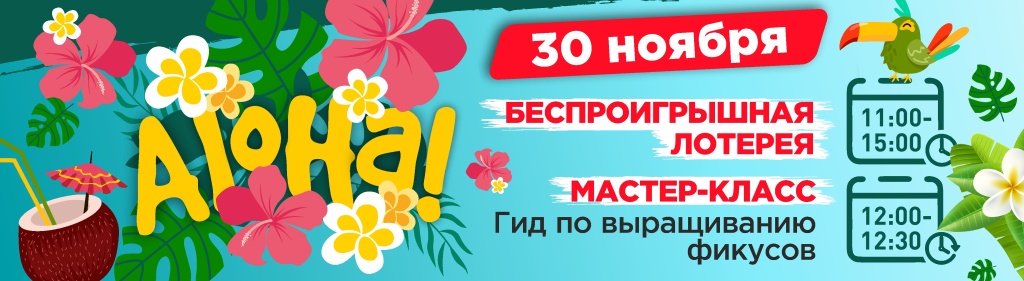 алоха алоха