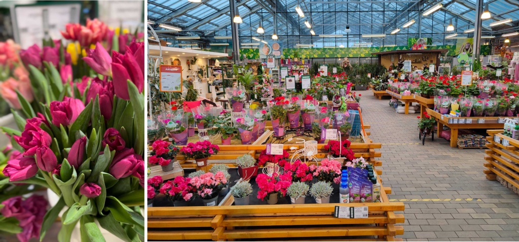 тюльпаны к 8 марта