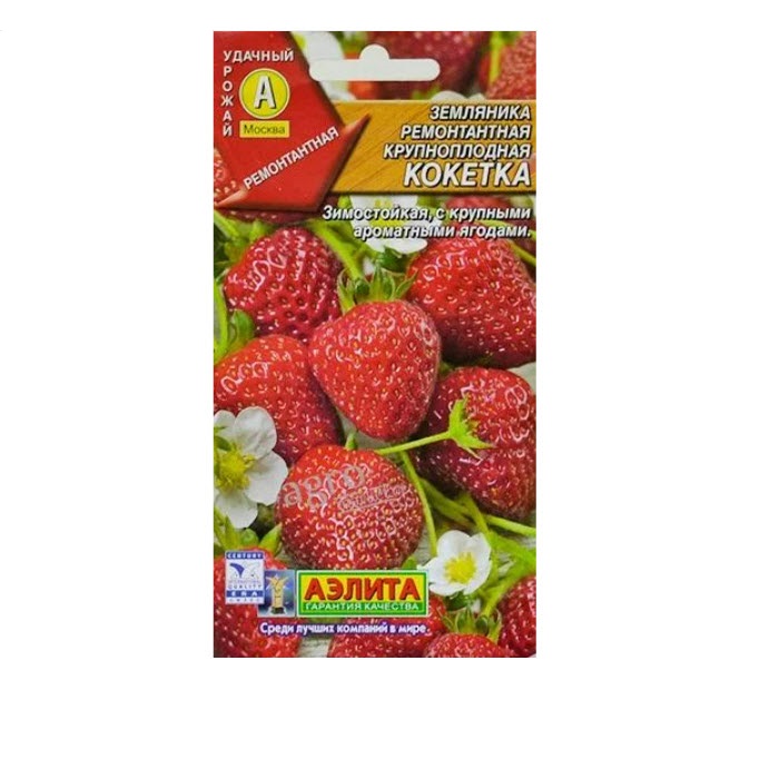 Семена земляника Кокетка ремонтантная крупноплодная Семена земляника Кокетка ремонтантная крупноплодная