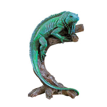 Игуана.jpeg Игуана.jpeg