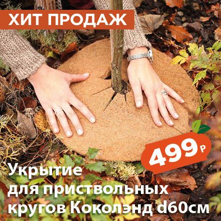 Укрытие для приствольных кругов.jpg Укрытие для приствольных кругов.jpg