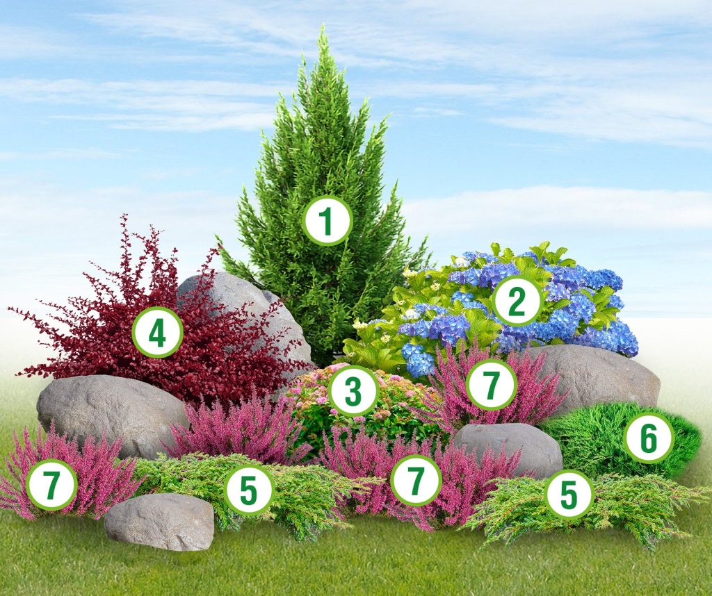 Главная_угловой рокарий.jpg