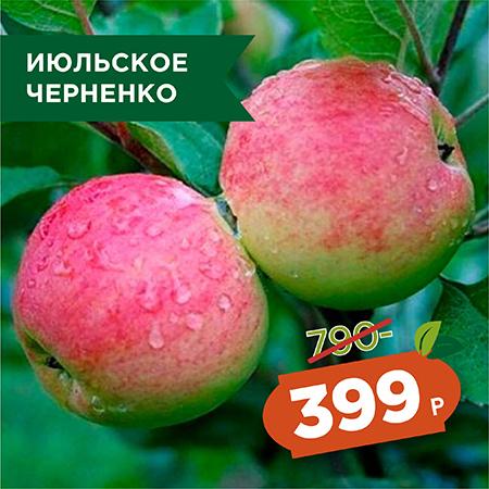 Июльское Черненко.jpg Июльское Черненко.jpg