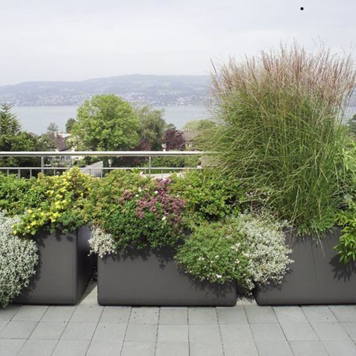 вертикальное озеленение 700х700.jpg