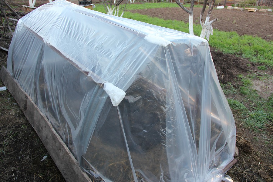 парник на грядке