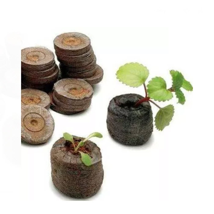 торфотаблетки для выращивания рассады торфотаблетки для выращивания рассады