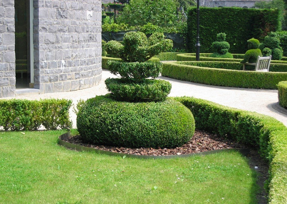 самшит сады.jpg