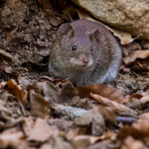 Страница 1(1).jpg