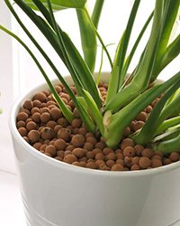 купить дренаж для комнатных растений