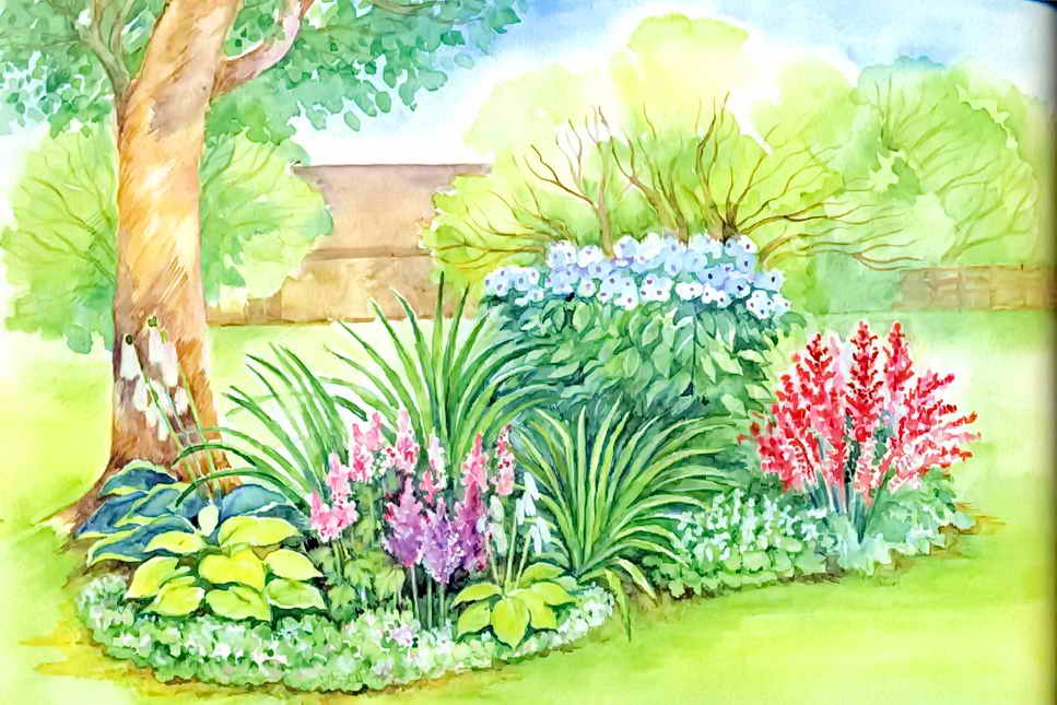 плод сад цветник.jpg