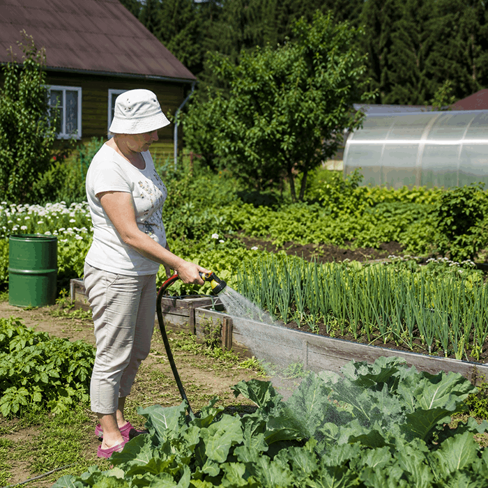 работы в саду июль