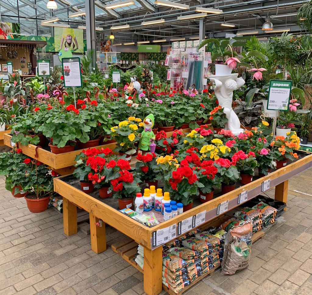 Ассортимент цветов