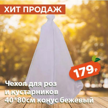чехол для роз.jpg чехол для роз.jpg