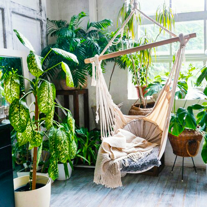 растения на балконе 700х700.jpg