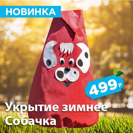 собачка.jpg собачка.jpg