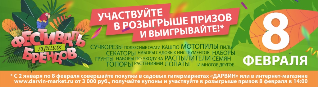 фестиваль брендов