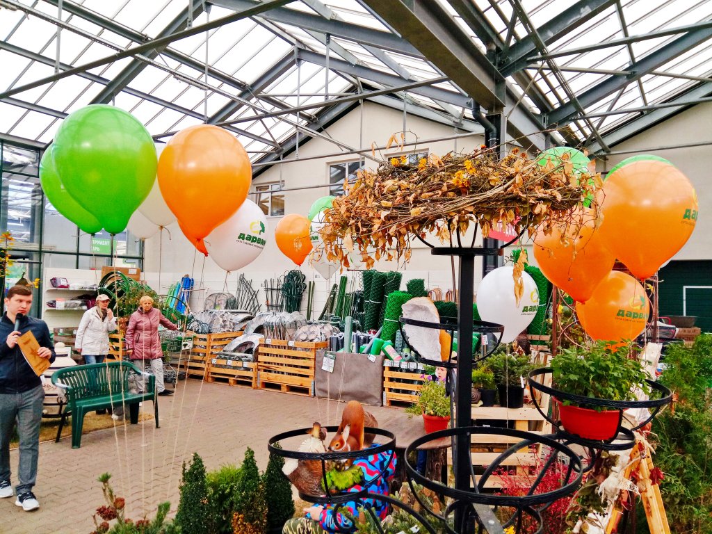 IMG_20181020_120704.jpg