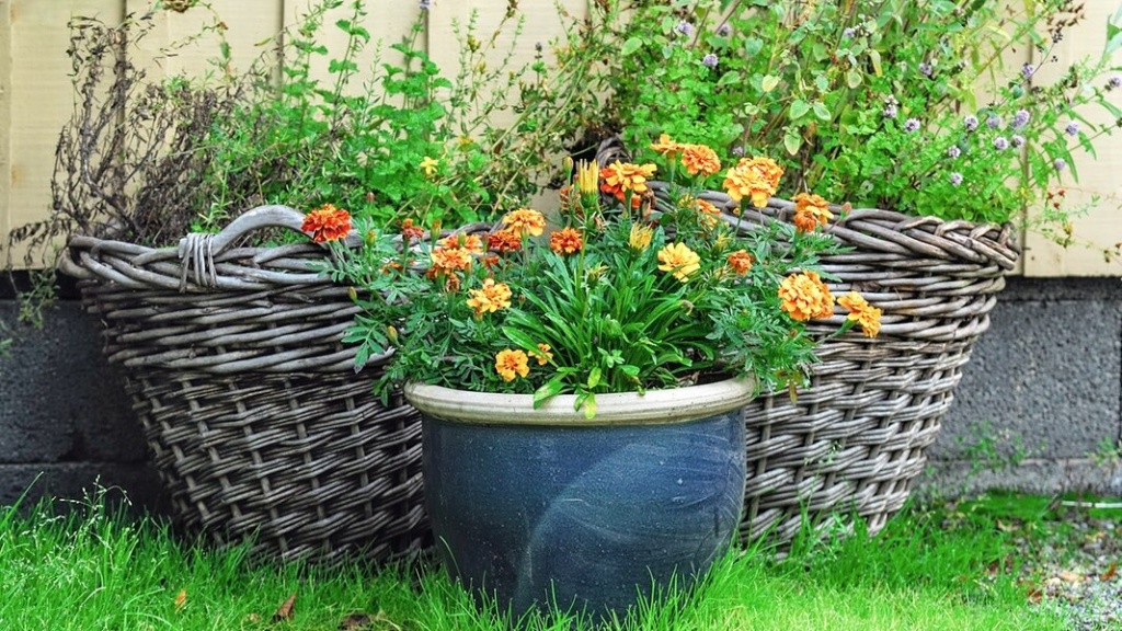 кашпо в саду.jpg