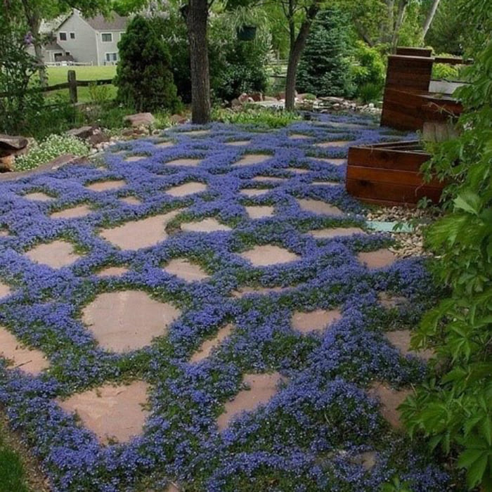 Мощение дорожек цветами 2 700х700.jpg