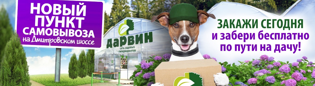 ПВЗ Д6_новость внутри.jpg