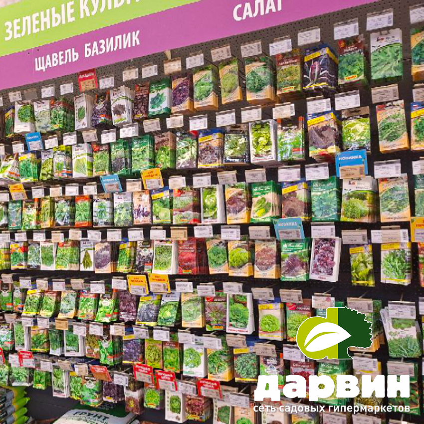 семена зелень