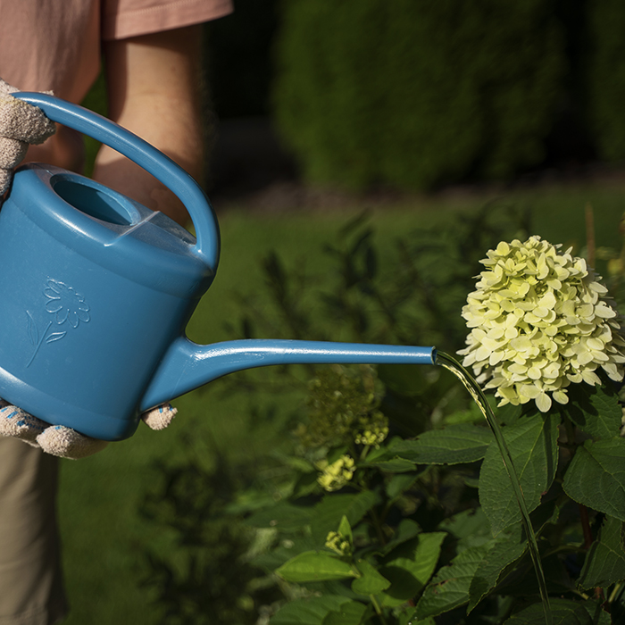 полив удобрениями 