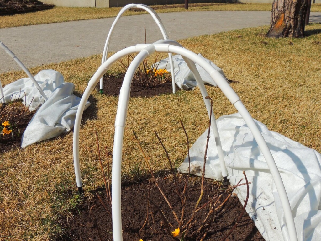 ноябрь укрытие.jpg