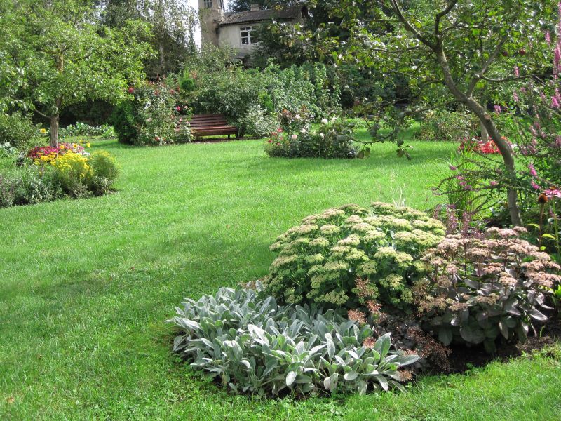 плод сад отдых.jpg