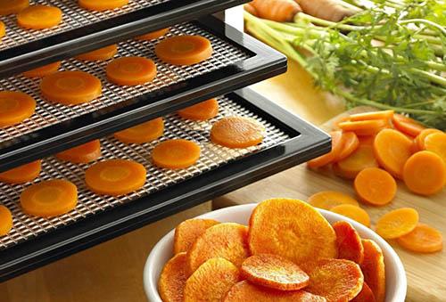 Сушка овощей_Дарвин.jpg