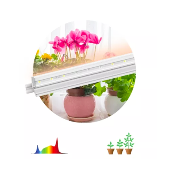 фитосветильник 700х700.png