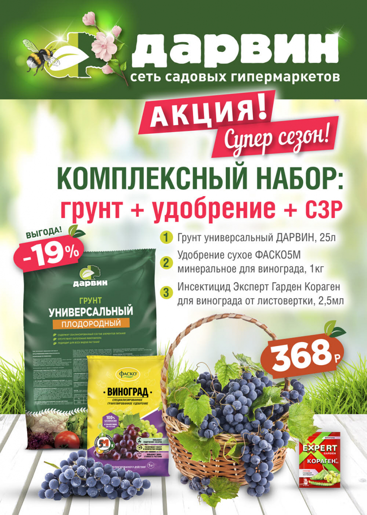 1_Супер_сезон 1_Супер_сезон.jpg