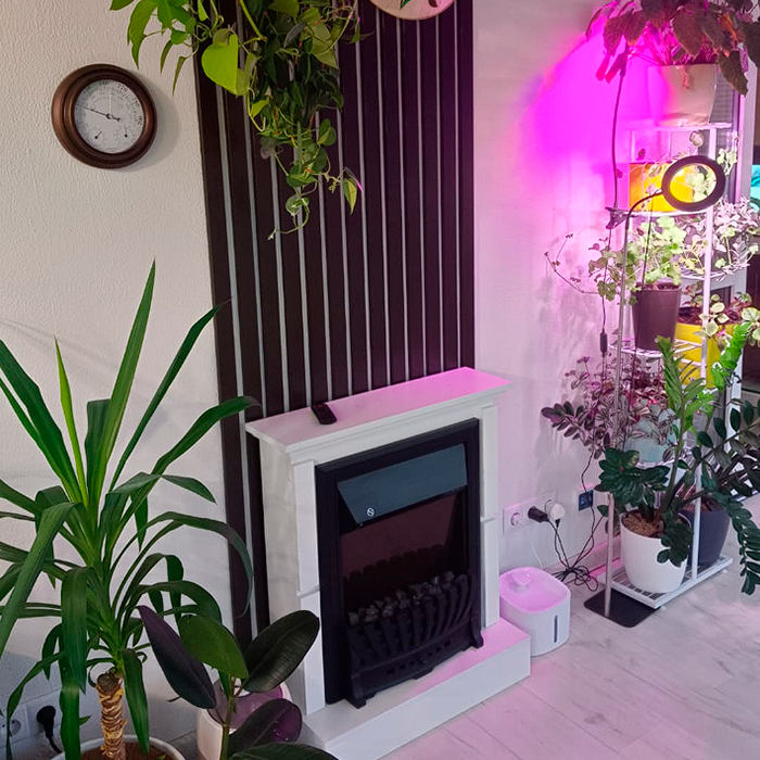 зимний сад Виктории Дроздовой